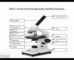 Youtube Microscope Middle School Life Science