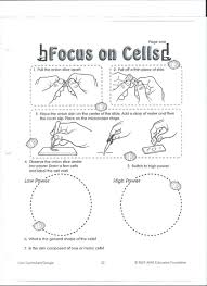 Image Result For Onion Cell Microscope Lab Worksheet Cells Worksheet Redox Reactions Worksheets