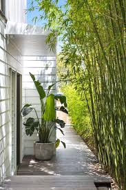 Bamboo is a thick, woody grass used in furniture and flooring. Side Of House Ideas For Your Home Airtasker Blog