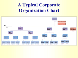 creating a flexible organization ppt video online download