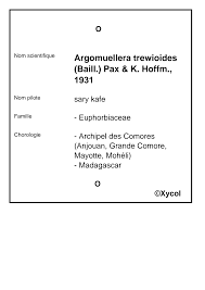 Image result for Argomuellera