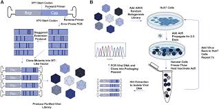 Image result for Blue 1999 AAV