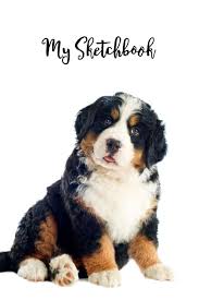 Maybe you would like to learn more about one of these? My Sketchbook Bernese Mountain Dog Unlined Notebook 150 Blank Pages 6 X 9 In For Sketching For Dog Lovers Sketch Book Composition Book Drawing Book Xlpress Canine Sketchbooks 9781701062870 Amazon Com Books