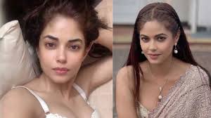 Meera chopra boobs - starafugl.is