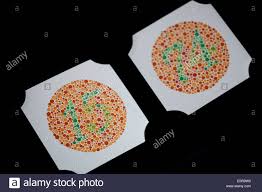 Ishihara Color Vision Test Plates Used For Color Blindness