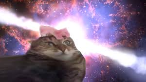 Anticast 300 Memes E Gifs De Gatinhos Anticast