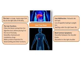 Life Vault Life Lower Abdomen Bone Infection