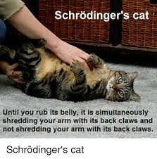 Unique schrodinger cat meme stickers designed and sold by artists. Schrodinger S Cat Until You Rub Its Belly It Is Simultaneously Shredding Your Arm With Its Back Claws And Not Shredding Your Arm With Its Back Claws Schrodinger S Cat Cats Meme On