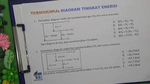 Pada saat potongan pita magnesium di masukkan kedalm larutan asam klorida (hcl) menimbulkan gelembung berupa gas sehingga beberapa selang waktu kemudian pita tersebut berubah menjadi putih. Diagram Tingkat Energi Termokimia Youtube