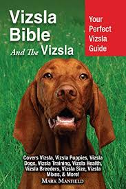 Find vizsla puppies for sale with pictures from reputable vizsla breeders. Vizsla Bible And The Vizsla Your Perfect Vizsla Guide Covers Vizsla Vizsla Puppies Vizsla Dogs Vizsla Training Vizsla Health Vizsla Breeders Vizsla Size Vizsla Mixes More Ebook Manfield Mark Amazon Ca Kindle