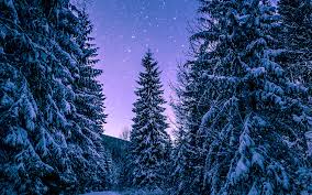 If you see some macbook wallpapers 4k you'd like to use, just click on the image to download to your desktop or mobile devices. 4k Winter Wallpapers For Iphone Ipad Or Macbook
