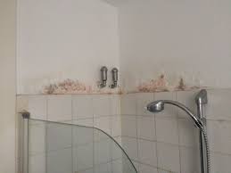 Wenn die abdichtung ordentlich ausgeführt wird sind sicher beide varianten möglich. Feuchte Rigips Wand Im Spritzbereich Der Dusche Streichen