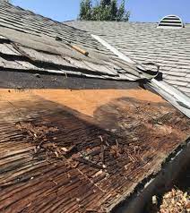 We found 233 results for dry rot repair in or near sacramento, ca. Sacramento Dry Rot Repair