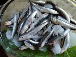 MY KITCHEN IN SPAIN: FRESH ANCHOVIES--SMALL FISH, BIG FLAVOR