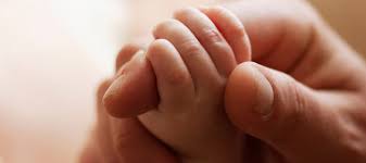 Konut kredisi alırken hayat sigortası yaptırmak zorunlu mudur sorusunun yanıtına bu yazıdan ulaşabilirsiniz. Kredi Cekerken Hayat Sigortasi Zorunlu Mu Paraniz Bosa Gitmesin