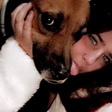 Why does my rabbit dig and pull at my clothing?