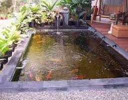 25 Beautiful Minimalist Garden House With Fish Pond Ideas Moolton Minimalist Garden Ponds Backyard Fish Pond