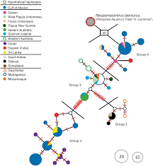 Australia with a gdp of $1.4t ranked the 13th largest economy in the world, while mexico ranked 15th with $1.2t. An Indo Pacific Damselfish Neopomacentrus Cyanomos In The Gulf Of Mexico Origin And Mode Of Introduction Peerj