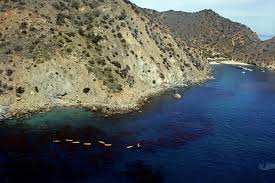 catalina island los angeles times