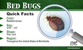 4.2 out of 5 stars. Best Bed Bug Control Products Pest Control Everything