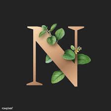 This photo is about type typography write. Botanical Capital Letter N Illustration Premium Image By Rawpixel Com Aum Donlaya Kappy Kappy M Lettering Alphabet Fonts Alphabet Wallpaper Lettering