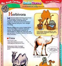 Contoh Gambar Hewan Karnivora Dan Makanannya Contoh Hewan Pemakan Daging Sumber Contoh Daring 40 Soal Pilihan Ganda Penggolongan He Gambar Hewan Hewan Gambar