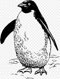 How to draw a cartoon penguin. Penguin Line Art Clip Art Png 1716x2253px Penguin Artwork Beak Bird Black And White Download Free
