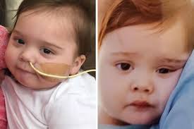 Fundraiser for Mariana Howa by Denette Cosillos-Milovich : Declan Howa  Support Fund