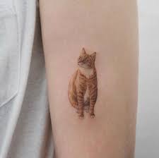 Cute Red Cat Tattoo Cat Tattoo Designs Tattoo Designs Men Cat Tattoo Small