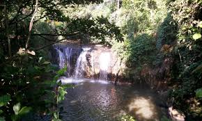 Sekian artikel tentang lokasi dan harga tiket masuk. Indahnya Air Terjun Kima Atas Wisata Air Favorit Warga Manado Celebes