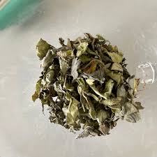 Image result for Lippia javanica