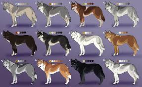 Natural Wolf Adoptables 2 Closed Wolf Colors Wolf Spirit Animal Pet Wolf
