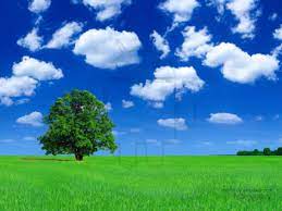 And it isn't always easy. Download Free 10 Best Google Android Wallpapers G1 Phone Wallpaper