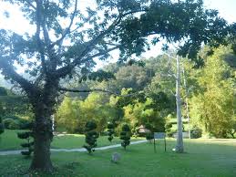 Malacca botanical garden is an absolute treat for the eyes. Penang Botanic Gardens Wikipedia