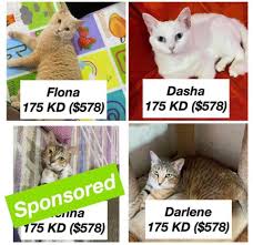 🟢FURTHER UPDATE🟢 MILLION...