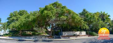 Inside The Abandoned Chart House Restaurant Coconut Grove