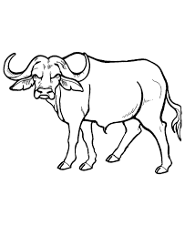 Wild Animal Coloring Pages African Buffalo Coloring Page And Kids Activity Sheet Animal Coloring Pages African Animals African Buffalo