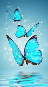 Wallpaper hp warna biru lucu. 100 Gambar Wallpaper Lucu Background Hd Keren Dan Unik
