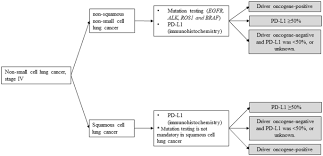 Lung tumors are considered rare in cats and dogs. The Japanese Lung Cancer Society Guideline For Non Small Cell Lung Cancer Stage Iv Springerlink