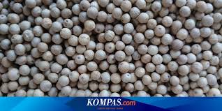 Info no telepon dan alamat penjualnya dong. Harga Lada Merangkak Naik Petani Ini Kabar Baik Halaman All Kompas Com