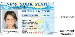 There are some exceptions but basically it's against federal law to hold licences from more. New York License State Issued Id