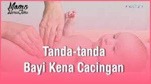 Cara kerja ubat ini adalah dengan menghalang cacing daripada menyerap gula yang merupakan sumber. Tanda Tanda Bayi Kena Cacingan Momharustahu Youtube