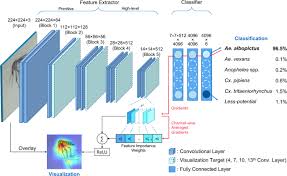 You can interactively segment image data, compare image registration techniques ann is used to detect the plant swelling (moisture content), burning sensation, disease and pest along with soil analysis. Classification And Morphological Analysis Of Vector Mosquitoes Using Deep Convolutional Neural Networks Scientific Reports