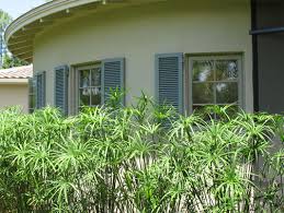 Maybe you would like to learn more about one of these? Shutters Island Doors Windows