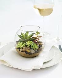 21 Rustic Wedding Centerpiece Ideas Succulent Centerpieces Mini Terrarium Succulent Terrarium