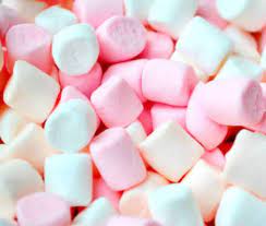 Maybe you would like to learn more about one of these? Marshmallow Untuk Hamster Camilan Minyak Ikan Hamster Fish Oil Kucing Cat Shopee Indonesia