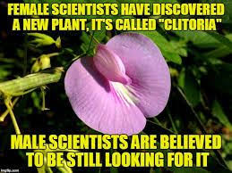 Image Result For Clitoria Flower Meme Plants Plant Life Gardening Memes