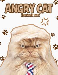 Angry Cat Calendar 2022 2022 2023 Calendar Animals Animal Wildlife Calendar Cute Animal Photos For Animal Lover Gifts For Kids Shepard Sam 9798460687992 Amazon Com Books