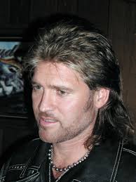 That's what we imagine when we hear the word mullet, and that's a very traditional hairstyle. Unforgettable Celebrity Mullets Conchovalleyhomepage Com