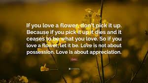 I have been following osho for a while now. Osho Quote If You Love A Flower Don T Pick It Up Because If You Pick It Up It Dies And It Ceases To Be What You Love So If You L